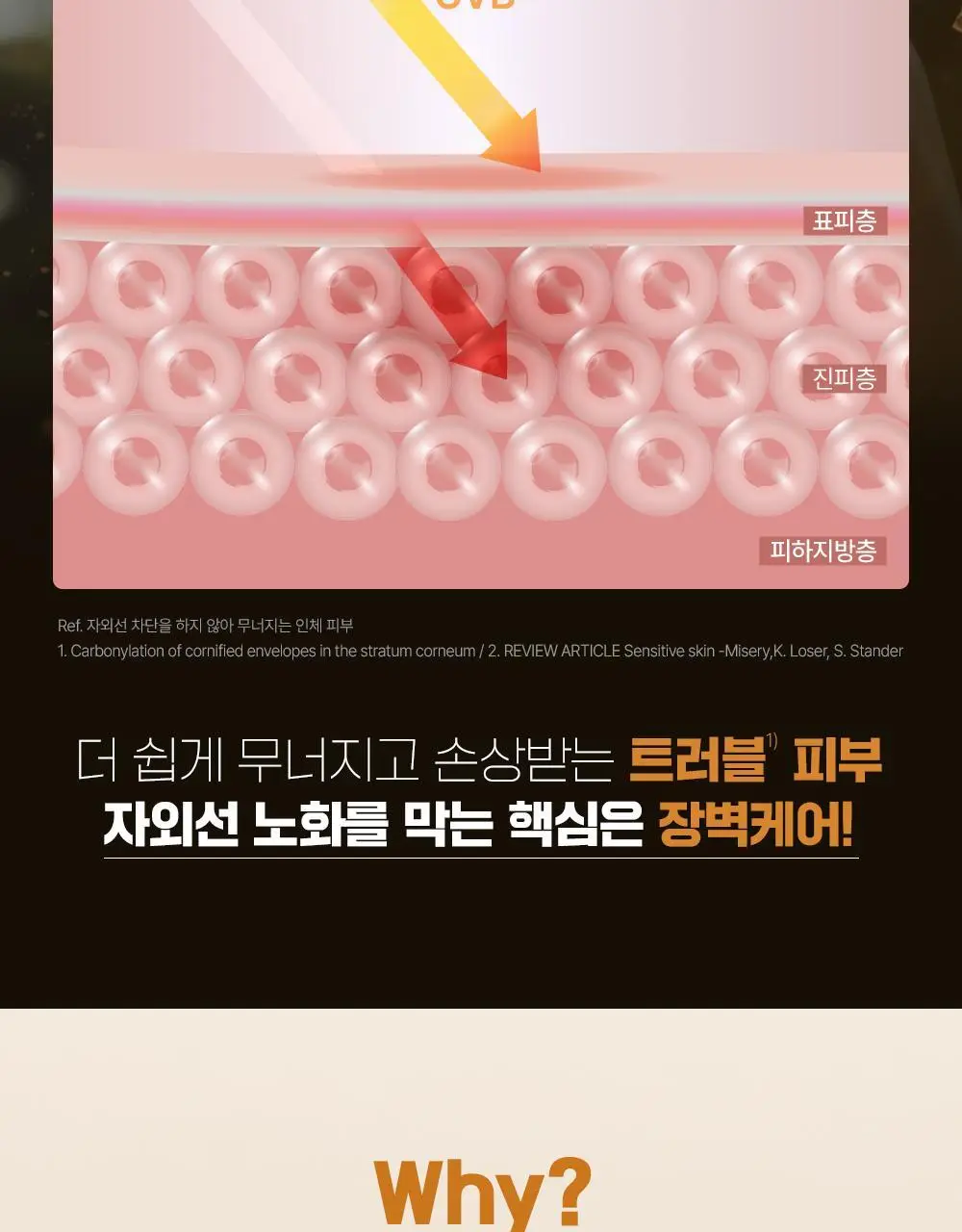 [단독기획] 파티온 노스카나인 UV 에이징 베리어 선세럼 40ml 기획(+10ml+수분선10ml) 상세페이지 5